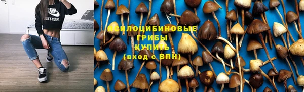 Альфа ПВП Белокуриха